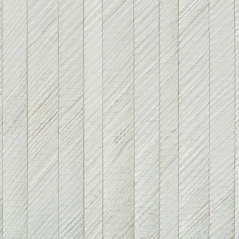 caneplexus wallpapers W154