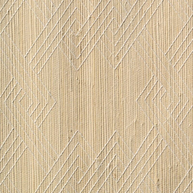 caneplexus wallpapers W156