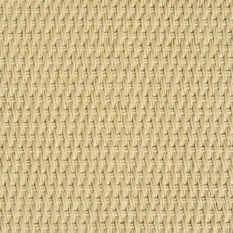 caneplexus wallpapers W170