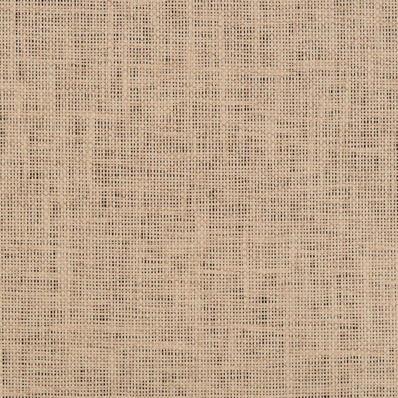 caneplexus wallpapers W174