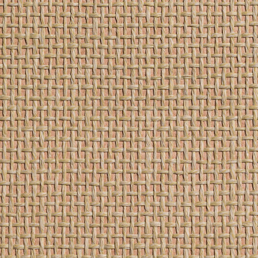 caneplexus wallpapers W201