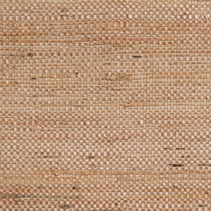 caneplexus wallpapers W204