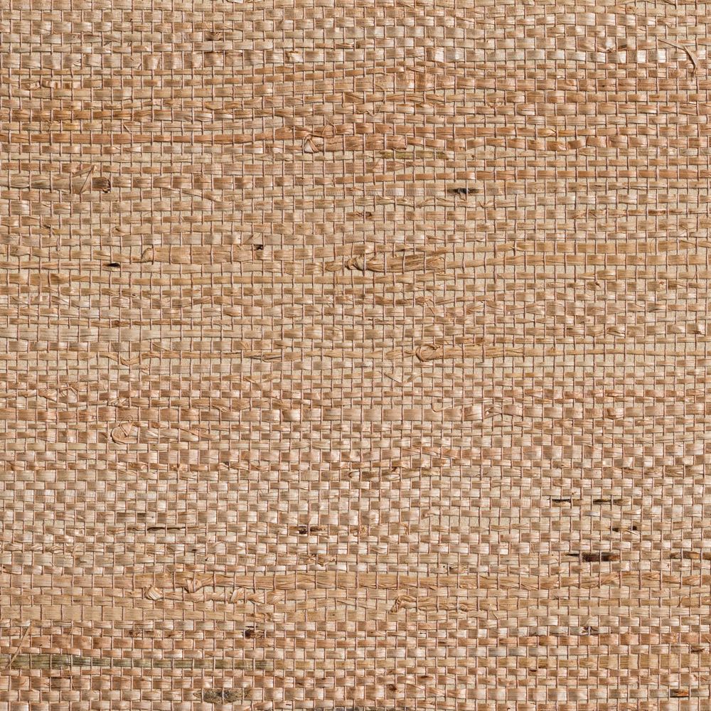 caneplexus wallpapers W204