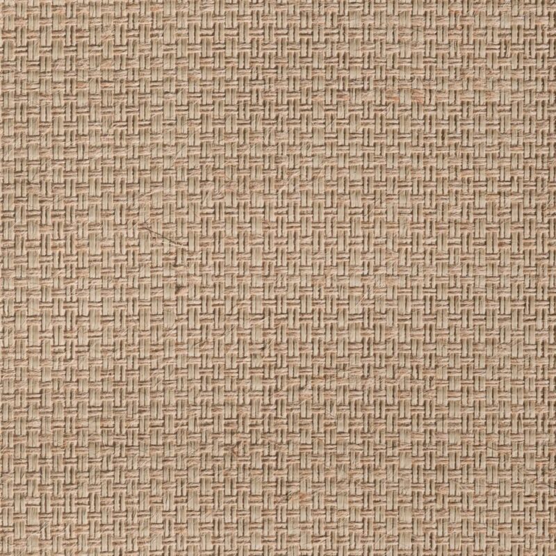 caneplexus wallpapers W207