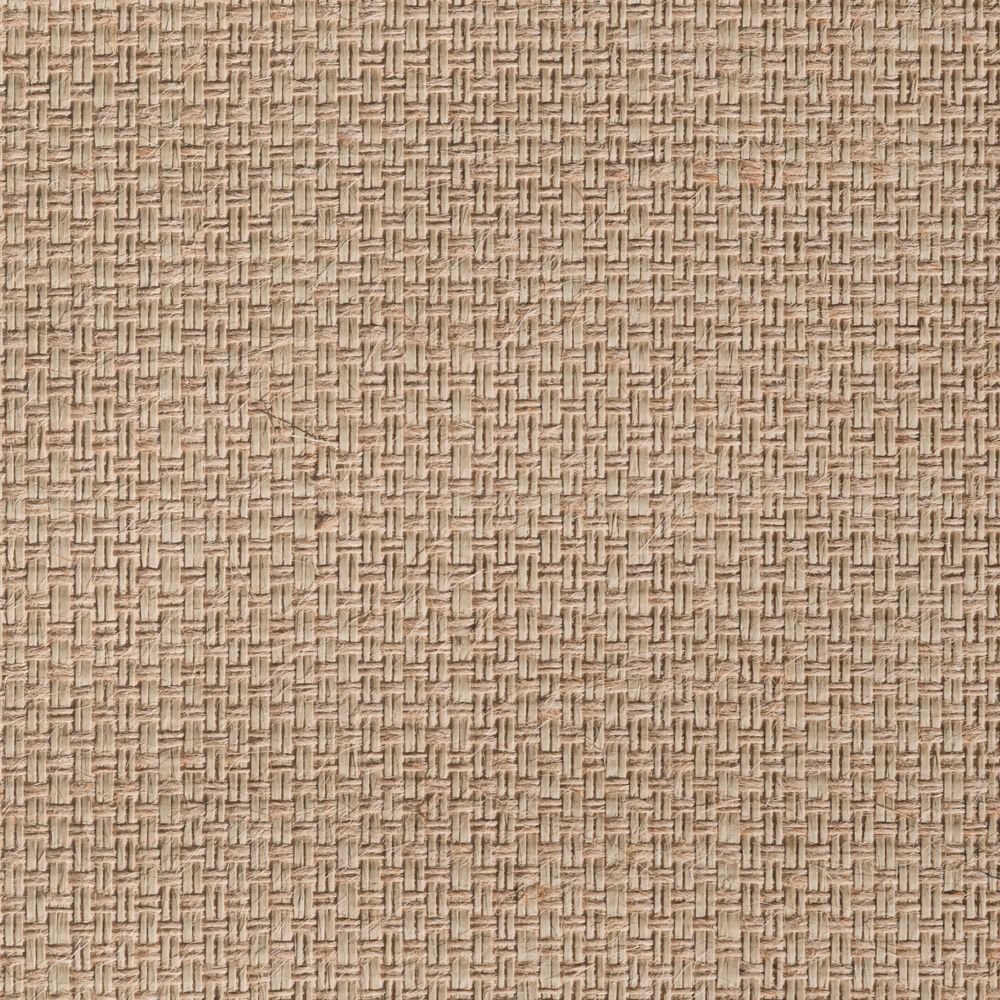 caneplexus wallpapers W207