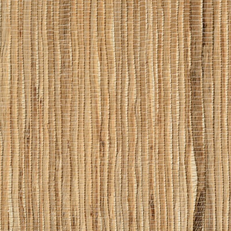 caneplexus wallpapers W210