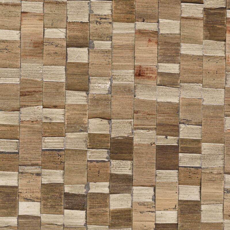 caneplexus wallpapers W219