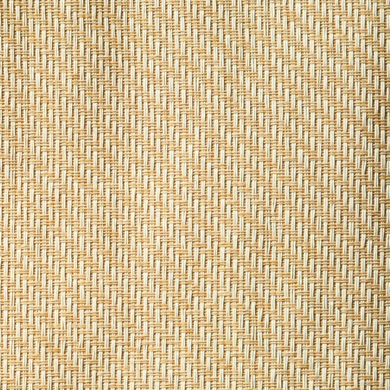 caneplexus wallpapers W232