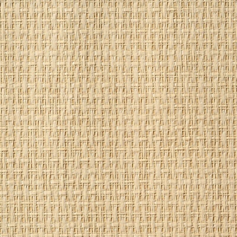 caneplexus wallpapers W233