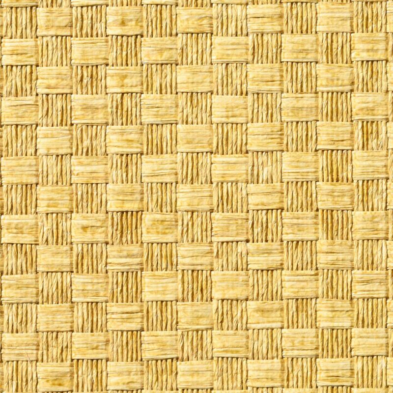 caneplexus wallpapers W236