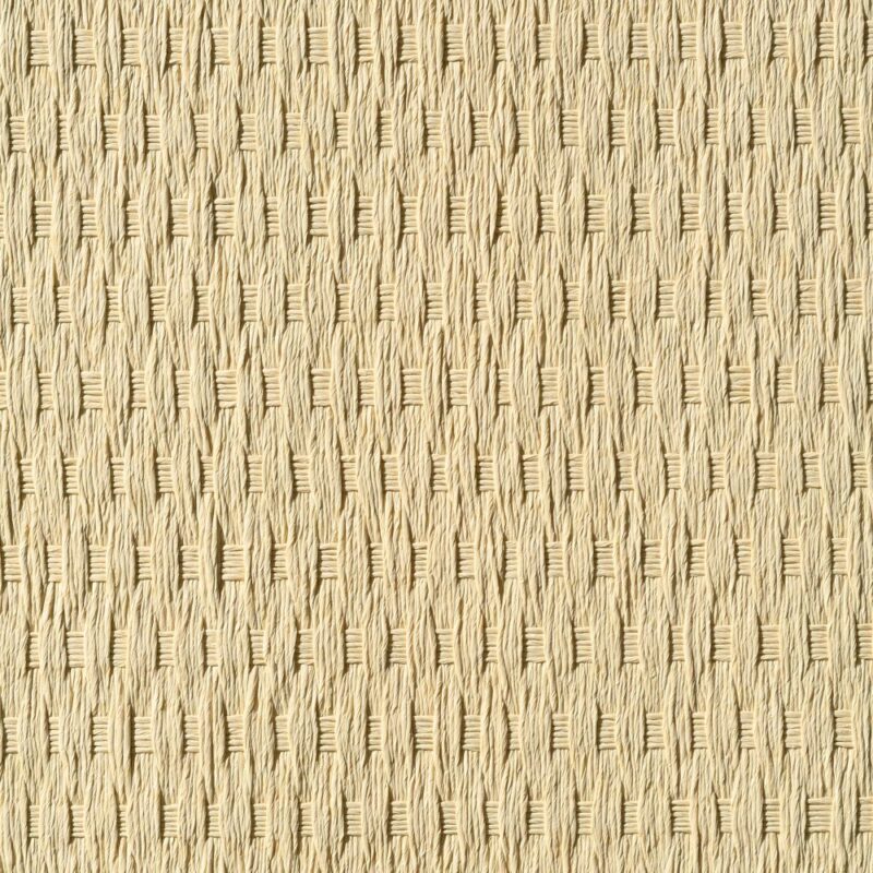 caneplexus wallpapers W239