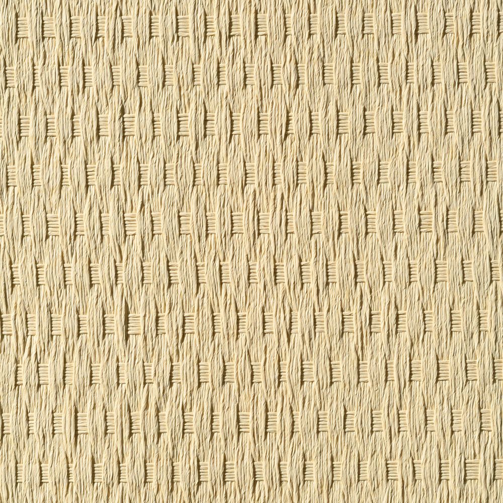 caneplexus wallpapers W239