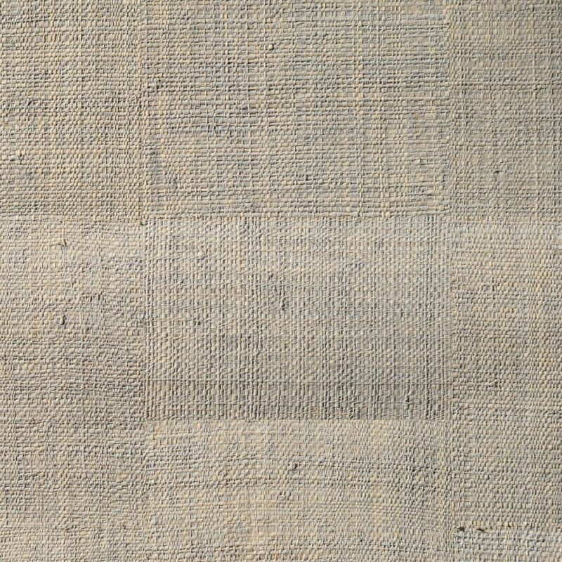 caneplexus wallpapers W240