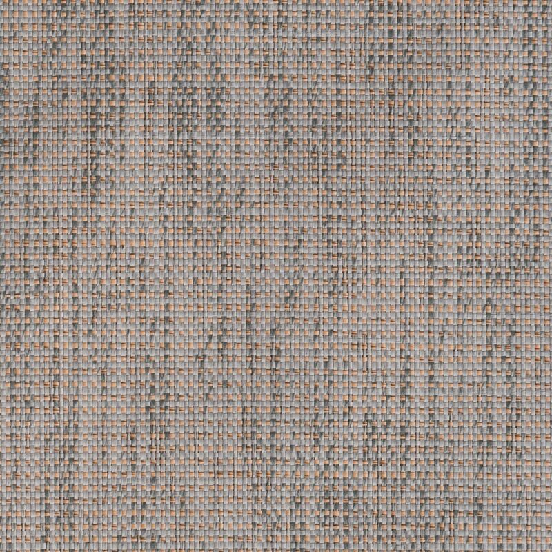 caneplexus wallpapers W242