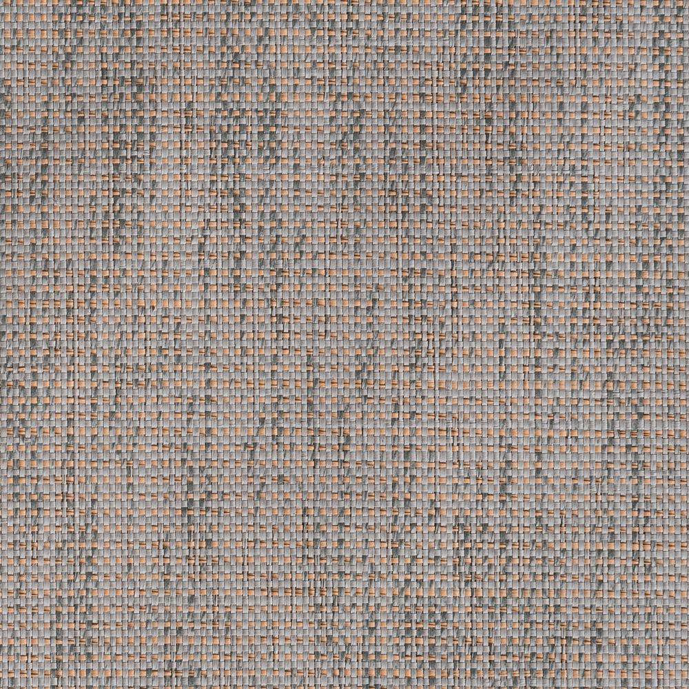 caneplexus wallpapers W242