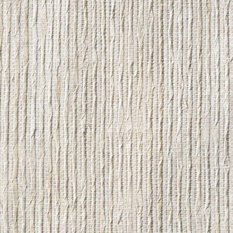 caneplexus wallpapers W249