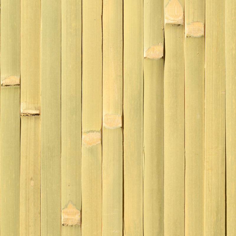 caneplexus wallpapers W251