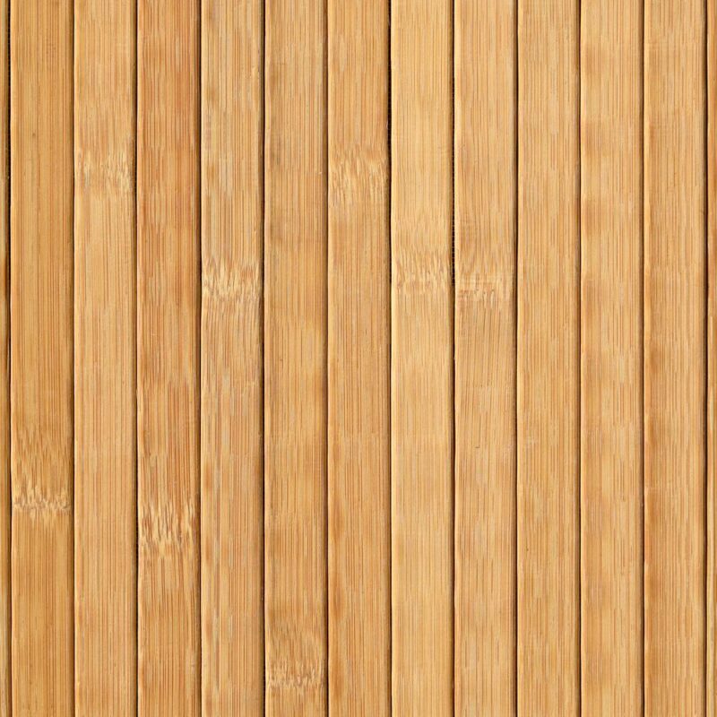 caneplexus wallpapers W252