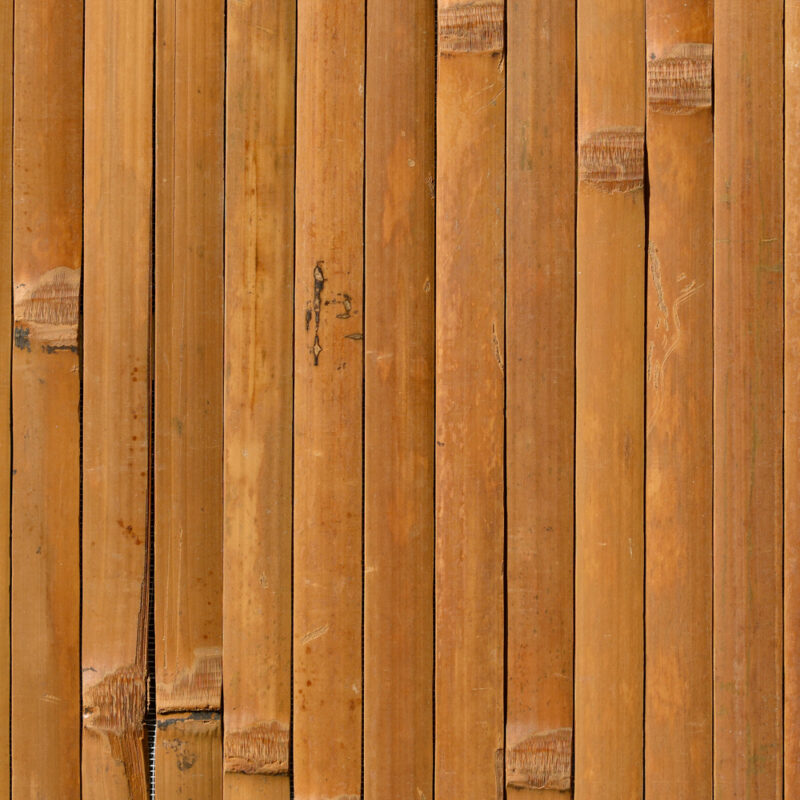 caneplexus wallpapers W253