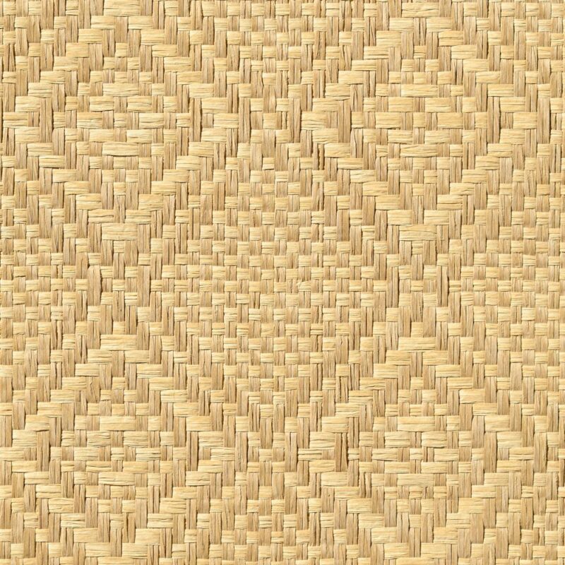 caneplexus wallpapers W254