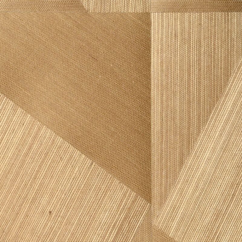 caneplexus wallpapers W259