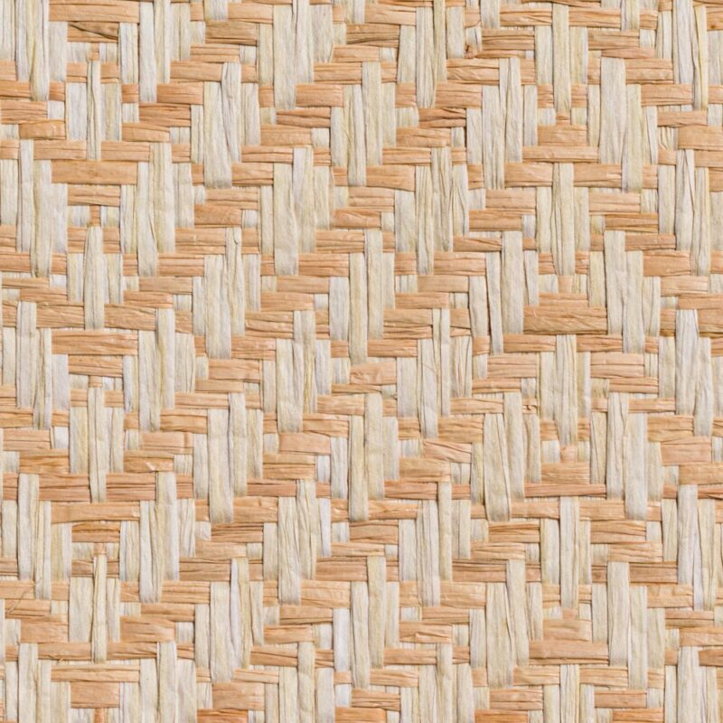 caneplexus wallpapers W260