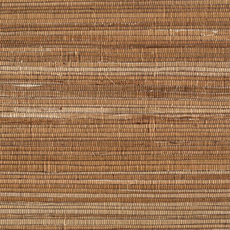 caneplexus wallpapers W283