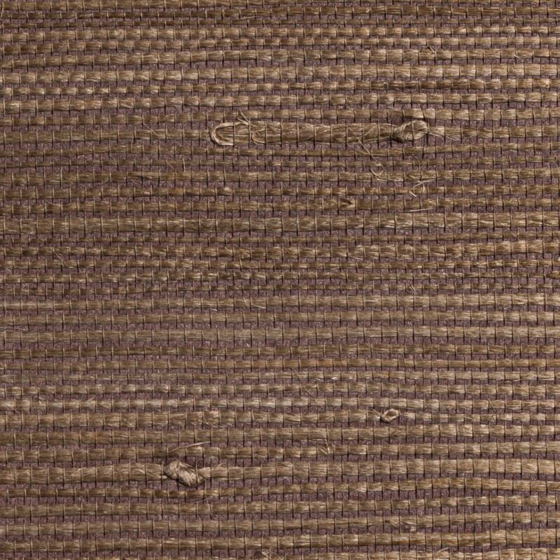 caneplexus wallpapers W294