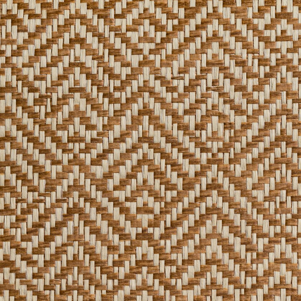 caneplexus wallpapers W295