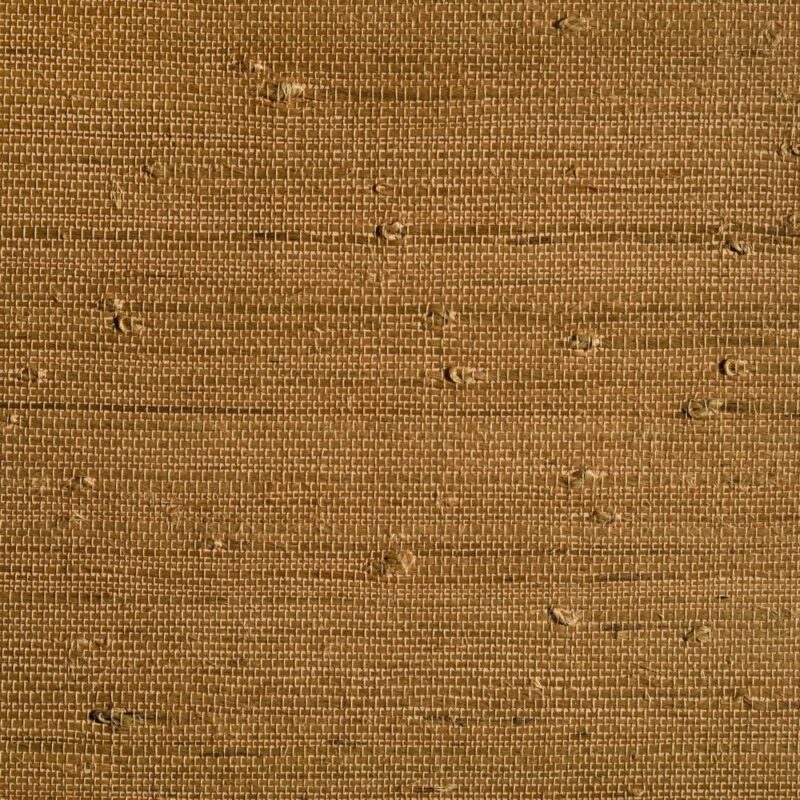 caneplexus wallpapers W44