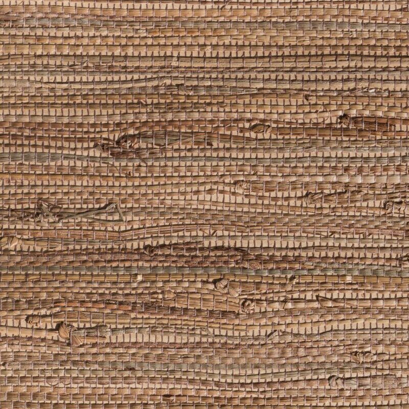 caneplexus wallpapers W57