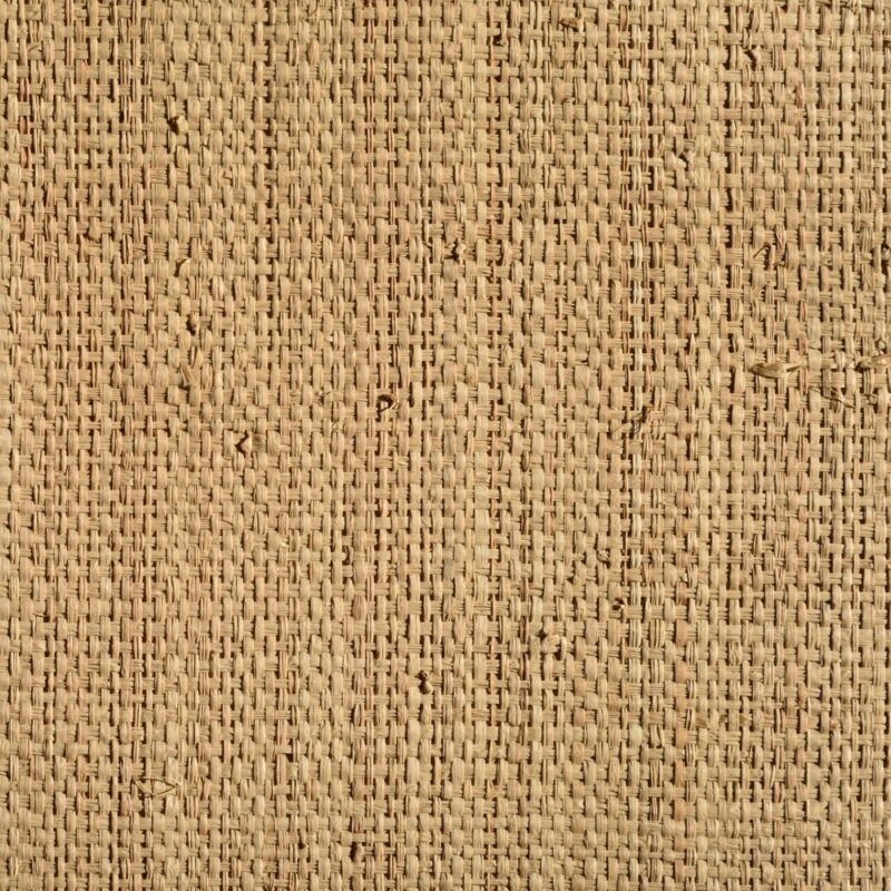 caneplexus wallpapers W61