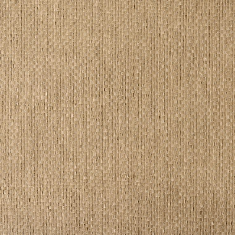 caneplexus wallpapers W62