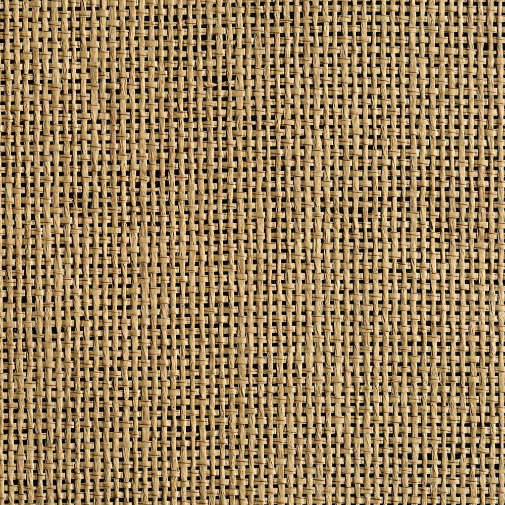 caneplexus wallpapers W63