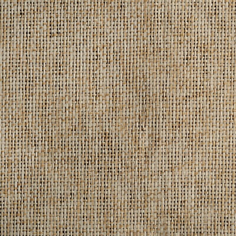 caneplexus wallpapers W64