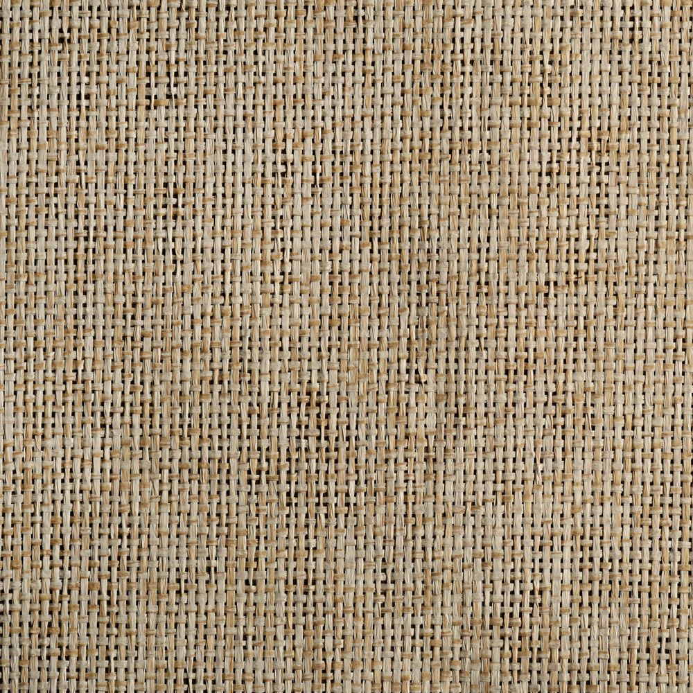 caneplexus wallpapers W64