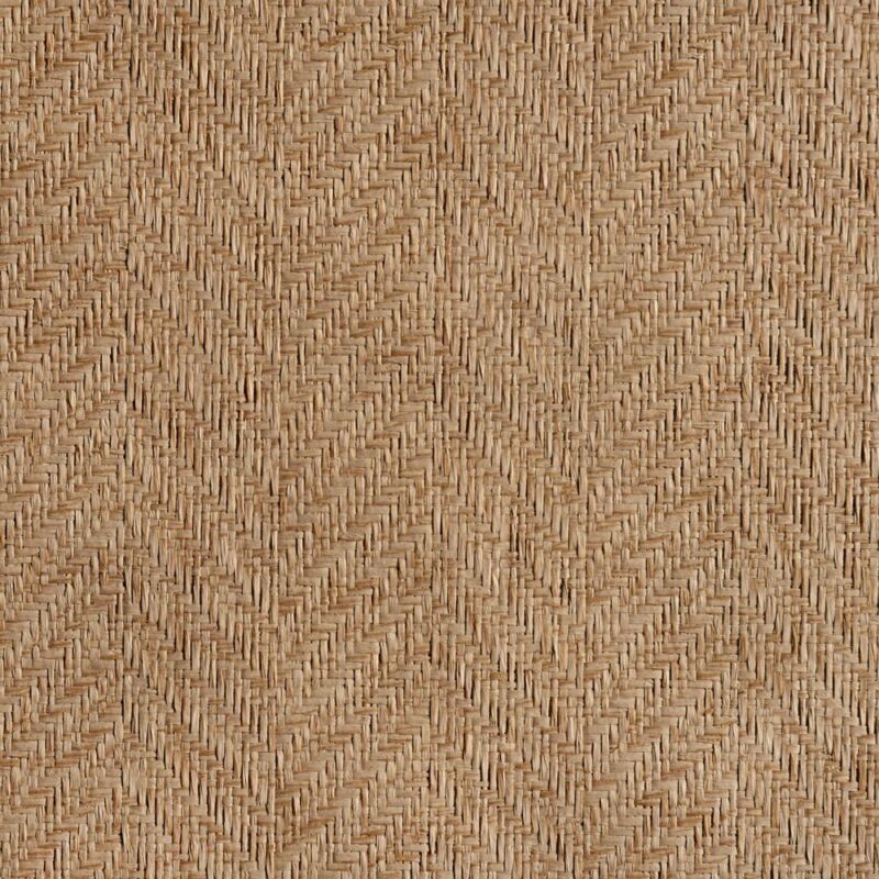 caneplexus wallpapers W65