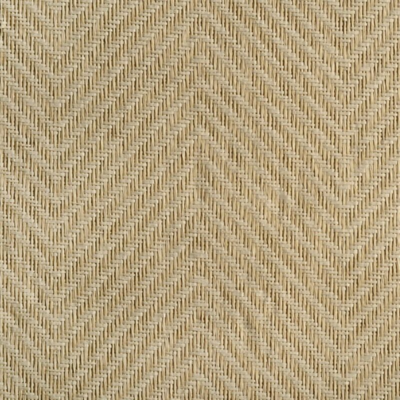 caneplexus wallpapers W66