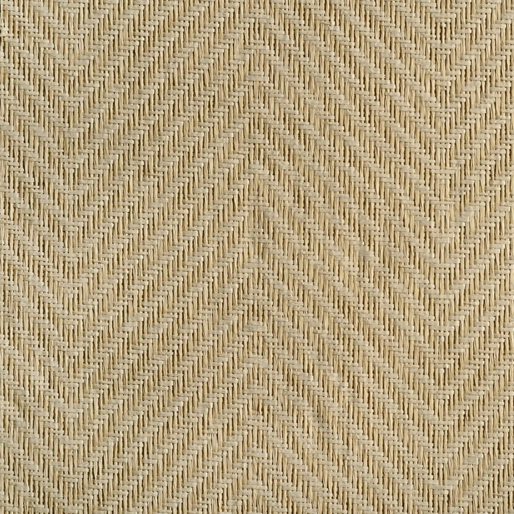 caneplexus wallpapers W66