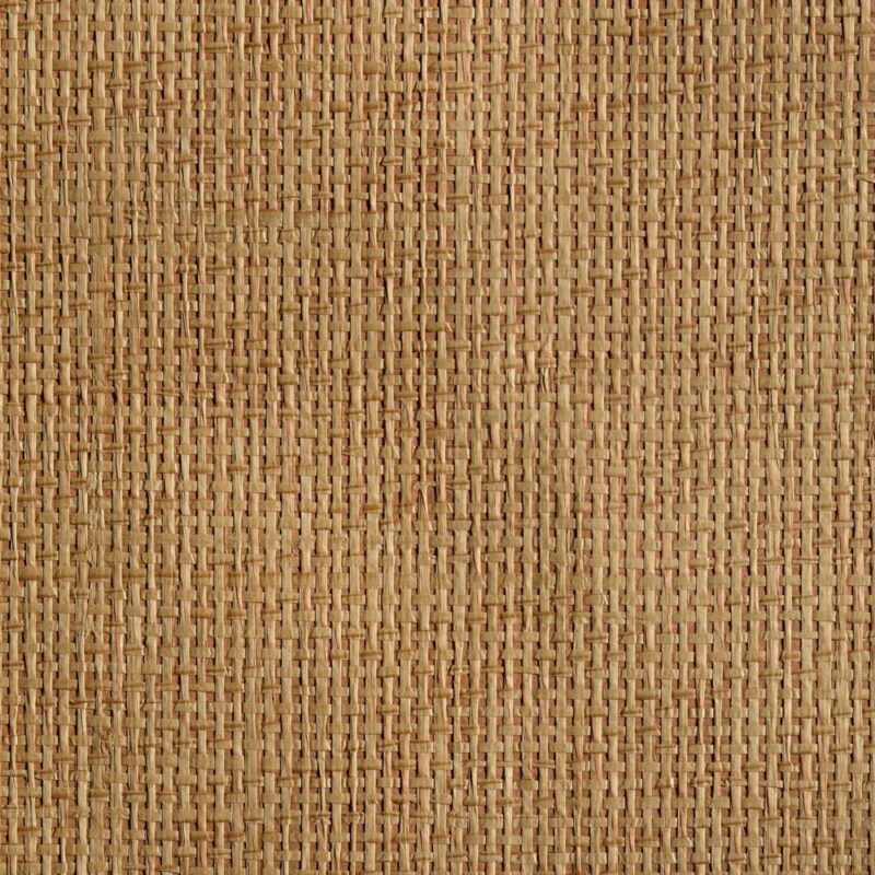 caneplexus wallpapers W67