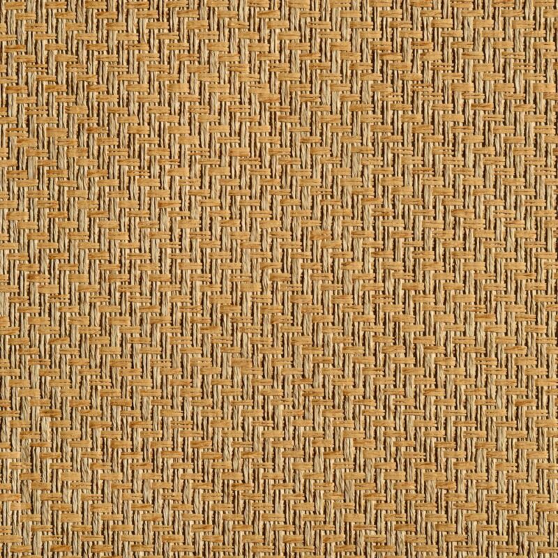 caneplexus wallpapers W68