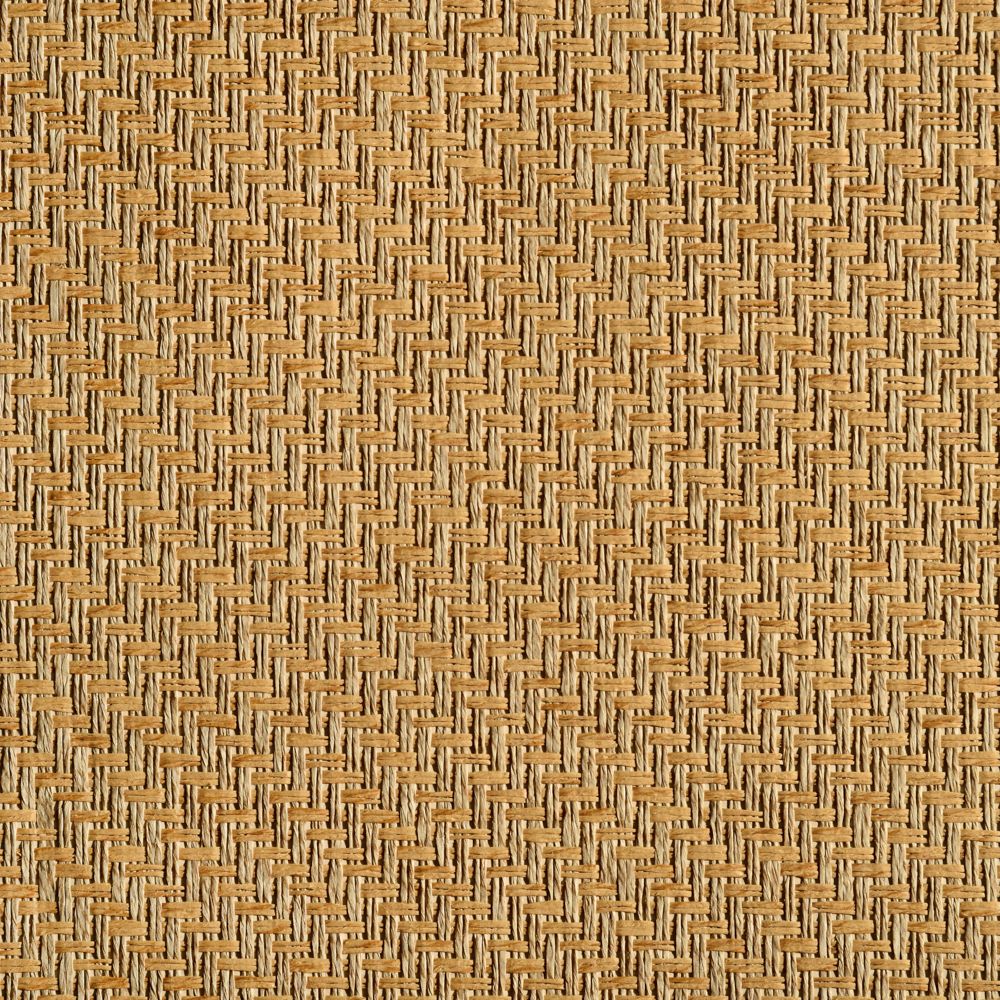 caneplexus wallpapers W68