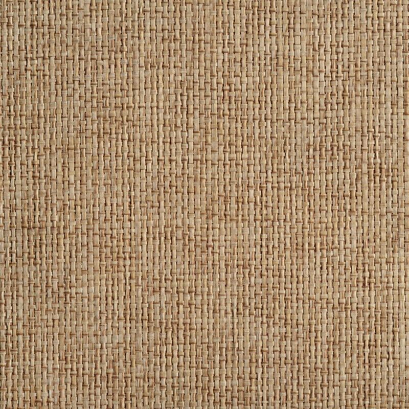 caneplexus wallpapers W69