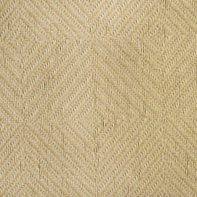 caneplexus wallpapers W70