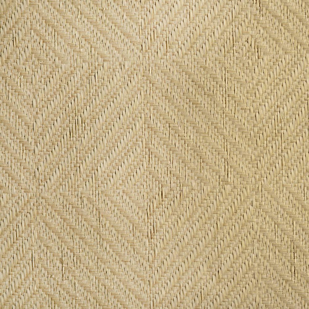 caneplexus wallpapers W70