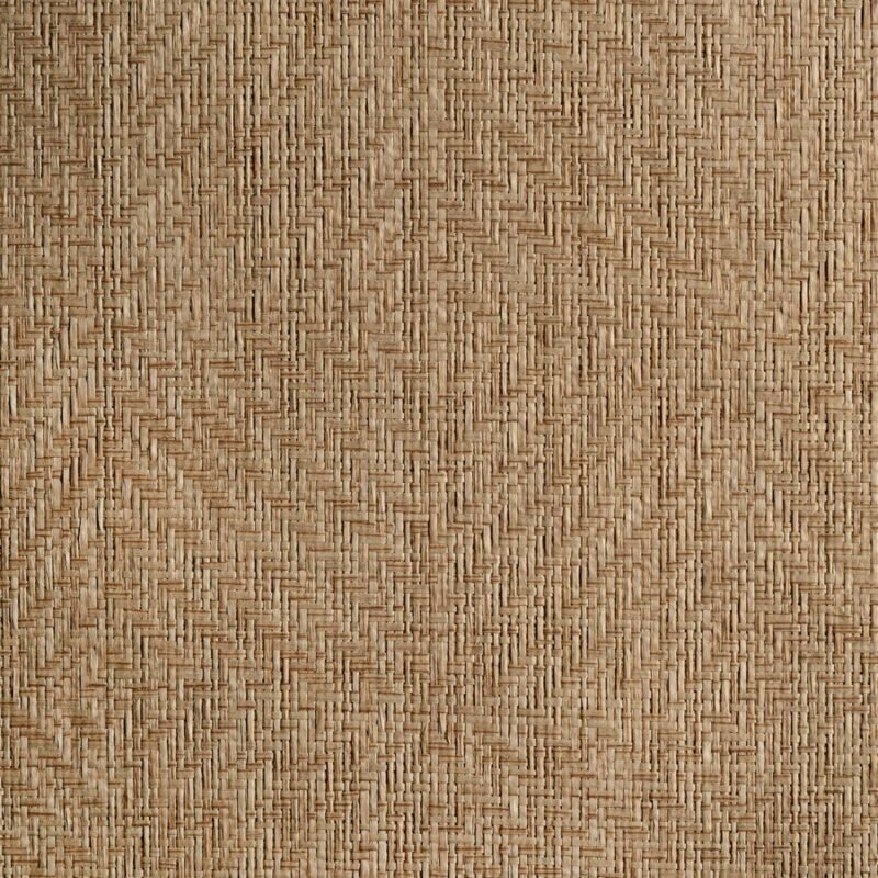 caneplexus wallpapers W72