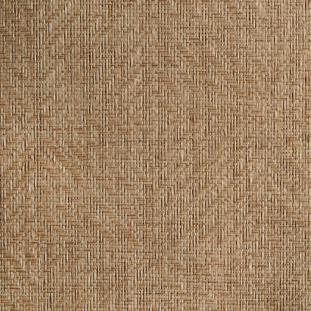 caneplexus wallpapers W72