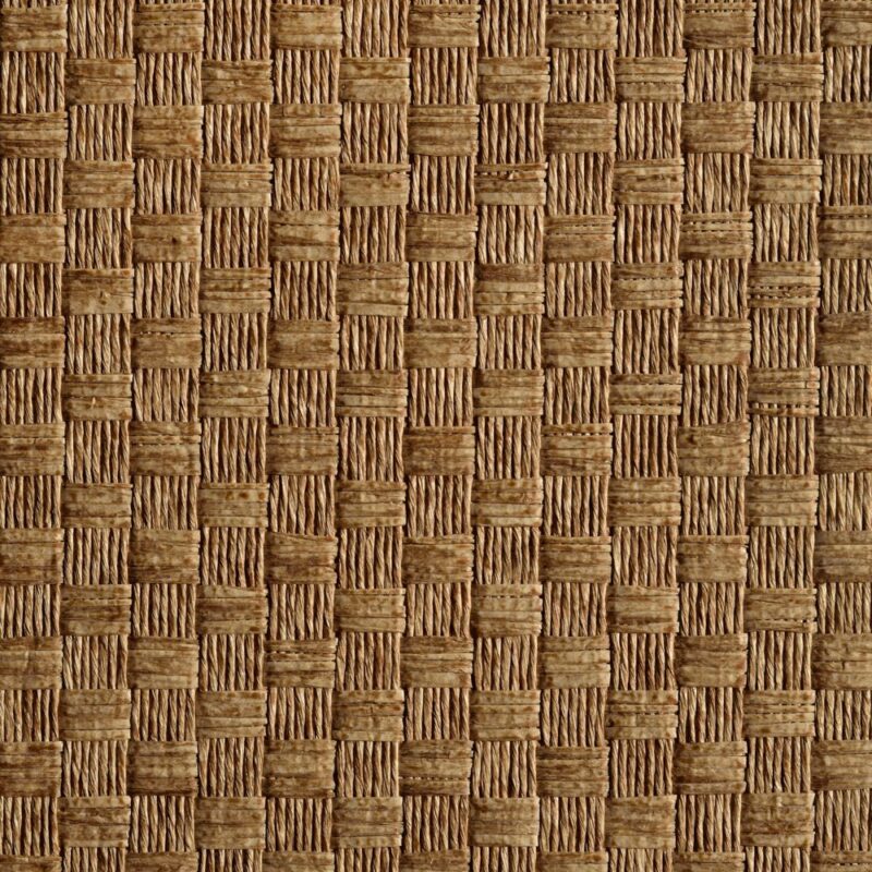 caneplexus wallpapers W74