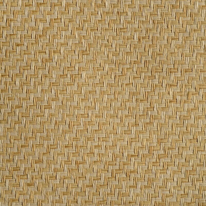 caneplexus wallpapers W75