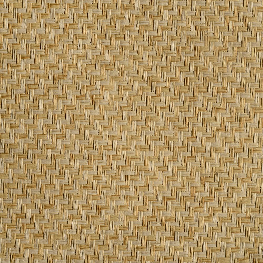 caneplexus wallpapers W75